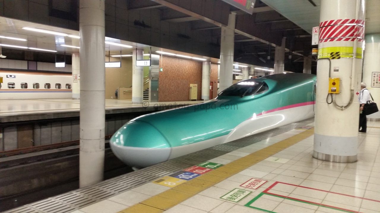 子供と電車見学スポット 東北 上越 北陸新幹線を間近で見るなら上野駅がおすすめ