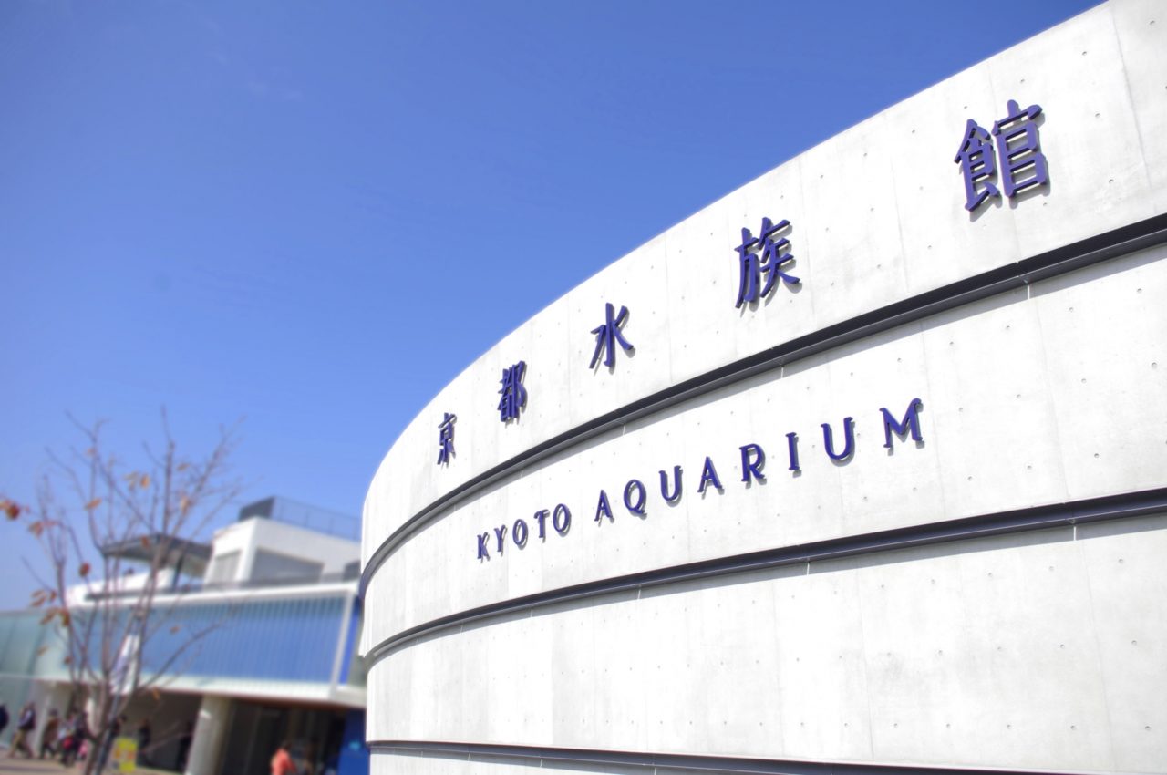 21年 京都水族館の料金を割引券 クーポン 優待で安くする方法