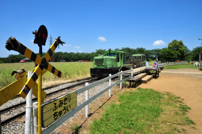 成田ゆめ牧場のトロッコ列車