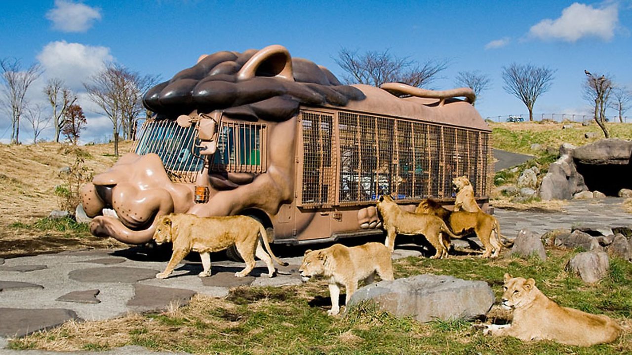 アフリカンサファリ　入場券　九州自然動物公園　動物園