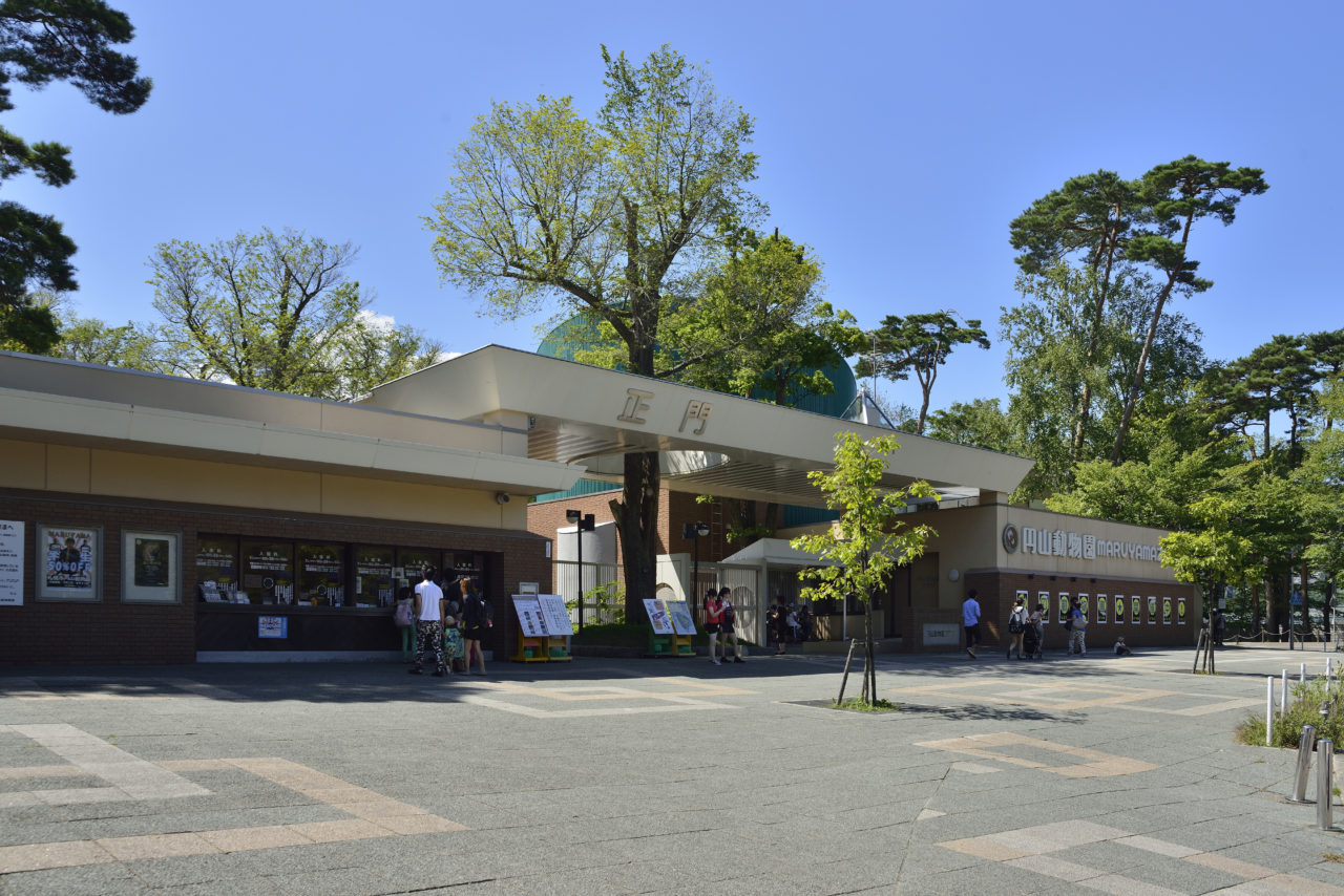 21年 札幌市円山動物園に割引券 クーポンで安く入園する方法