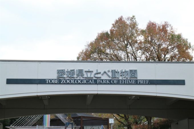 愛媛県立とべ動物園の入り口