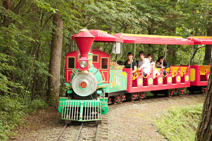 富士すばるランドの「SL森林鉄道」